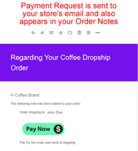 Pay Now Email Request